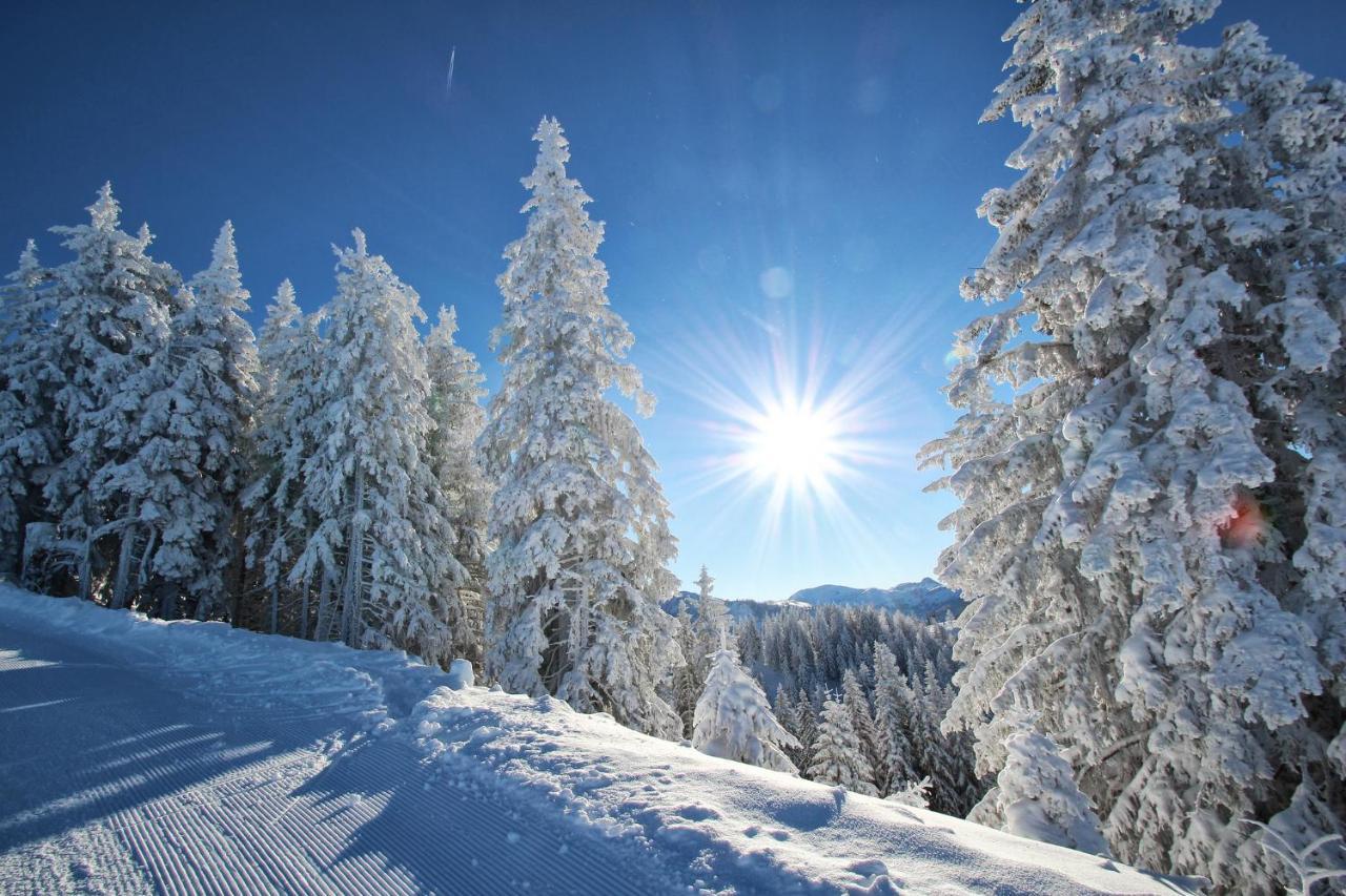 Hotel Alpenschloessl Sankt Johann im Pongau Zewnętrze zdjęcie